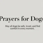 Prayers for Dogs