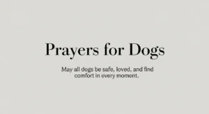 Prayers for Dogs